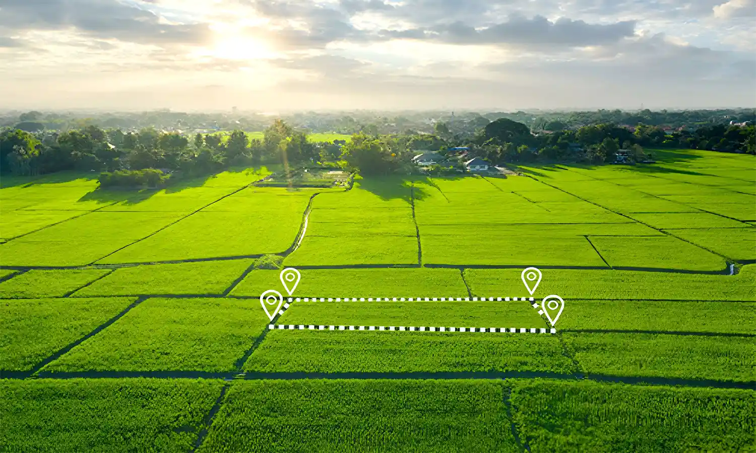 Panipat Godrej Properties Galley